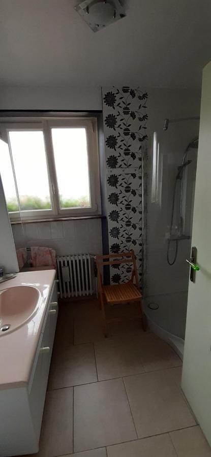 Chez Evelyne Chambre D'Hotes Chez L'Habitant Verdun-sur-Meuse Esterno foto